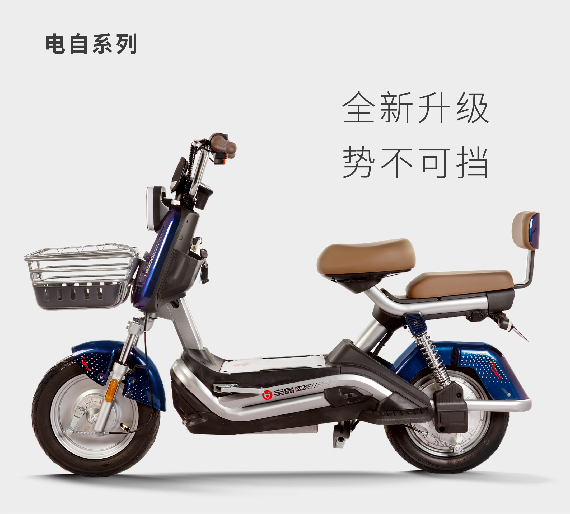 S1 Electric Bicycle